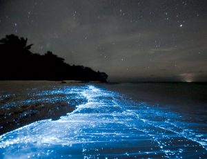 Pantai Maldives